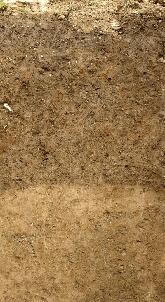 Colluvial soil consisting of weathered loess, phyllite and gravel over a layer of loess (Gräfenberg).