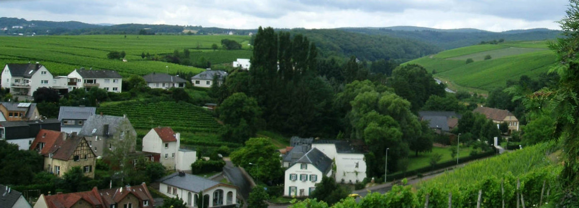 Im Blickfeld der Stele sehen Sie die Einmündung des Elster-bachtals  nach  Johannisberg-Grund. Der Taunusbach hat mit der Hebung des  Gebirges  Schritt  gehalten  und sich  tief  in  alte  Verebnungsflächen, frühere Rheinterrassen, eingeschnitten.  Die