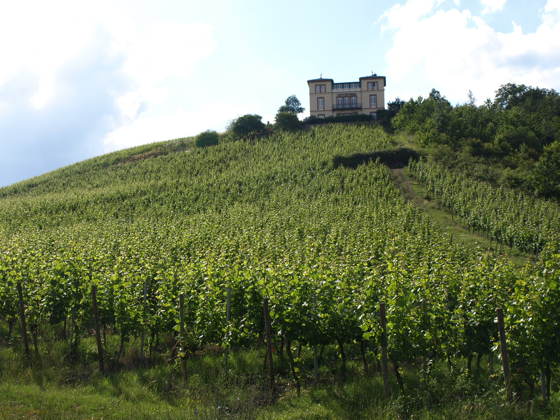 Aus einem Weinbergshäuschen entstand die im spätklassizistischen Stil erbaute Villa.