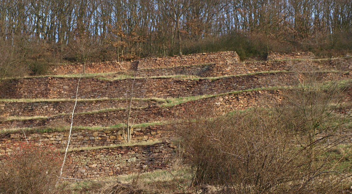 ist die letzte nicht flurbereinigte Lage im Rüdesheimer Berg. Einige der brachgefallenen steilen Terrassenweinberge werden heute neu angelegt.