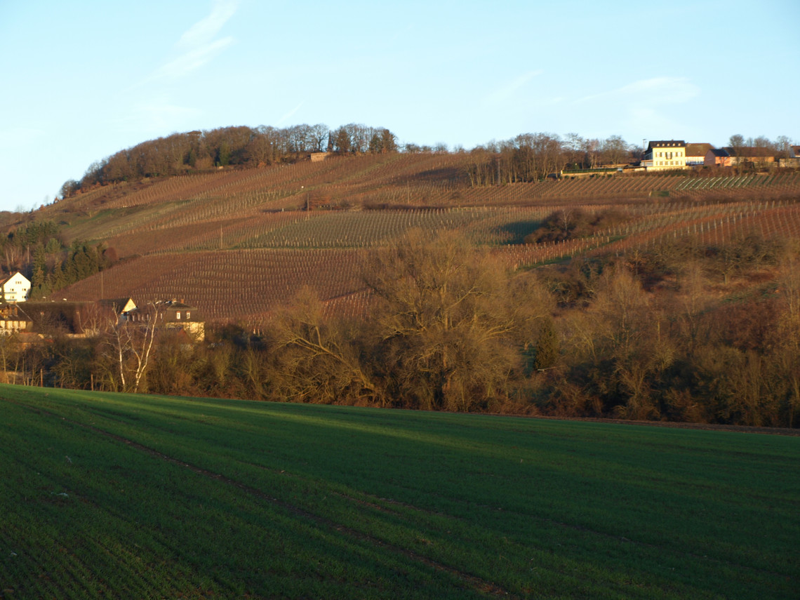 Blick über das Lindenbachtal auf den Spitzen Stein.