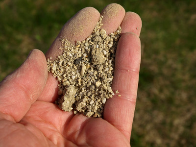 und grober (Meeres) Sand (rechts).Sandböden sind trocken, rasch erwärmend und nährstoffarm. Tonböden sind feuchter, kühler und sehr nährstoffreich.