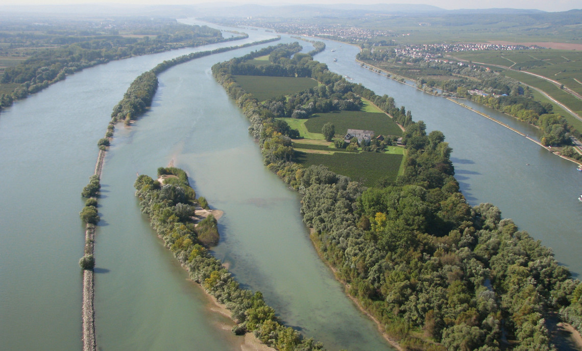 Blick aus der Luft auf die Mariannenaue.