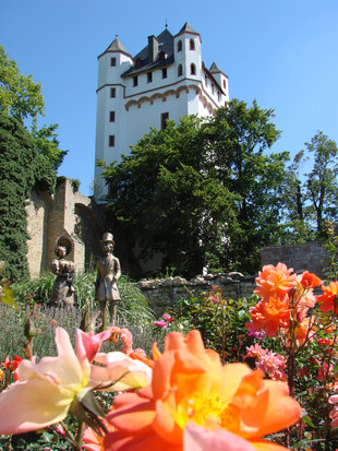 Kurfürstliche Burg Eltville am Rhein
