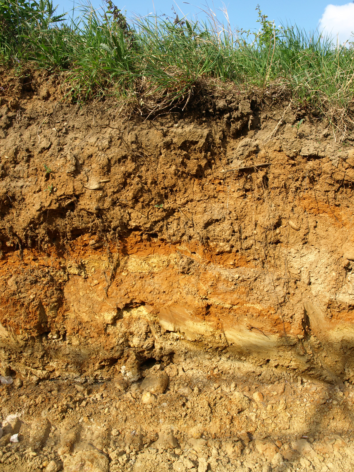 Oben Sande mit Taunus-geröllen, unten Mergel mit Fossilien (südlicher Ortsrand von Frauenstein).