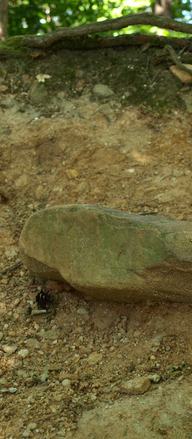 Terrace deposits