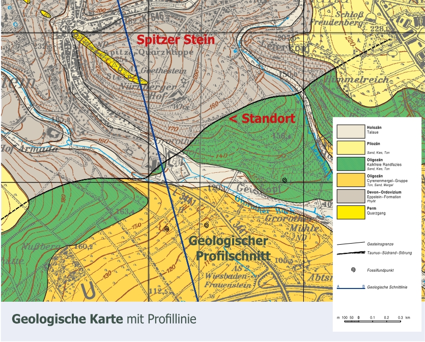 Sands mixed with Taunus rock debris over fossil-bearing marl (southern outskirts of Frauenstein)