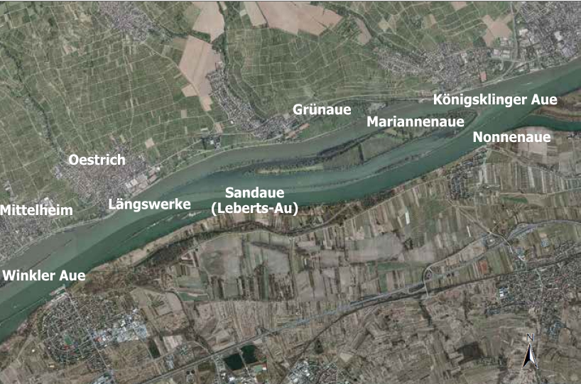 Deutlich zu erkennen sind die Längswerke und die verlandete Grünaue und Sandaue.